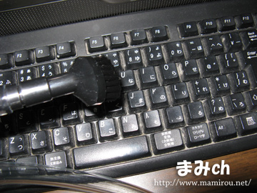 楕円形ブラシで大雑把に掃除