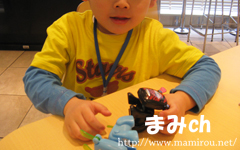 2匹で遊ぶ息子