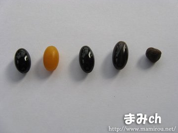 にんにく卵黄の粒を比較してみた