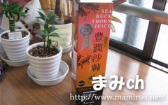 黄酸汁 沙棘