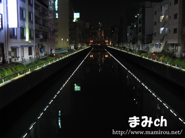 夜の道頓堀川